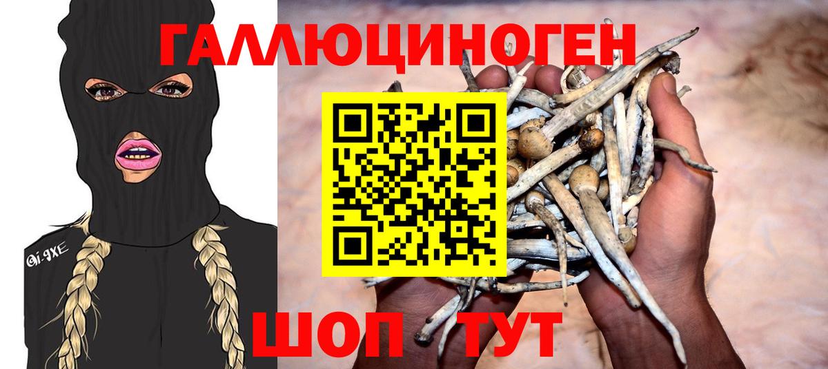 Пугачёв  Галлюциногенные грибы GOLDEN TEACHER  наркошоп  Галлюциногенные грибы мицелий  Вход с VPN 